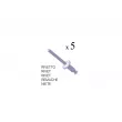 Lève-vitre MIRAGLIO 30/991 - Visuel 3
