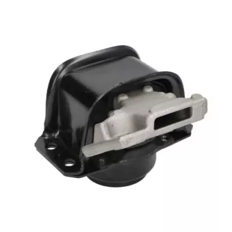 Support moteur REINHOCH
