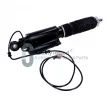 Amortisseur arrière droit JAPANPARTS MQ-AS455 - Visuel 2