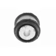 Suspension, support de boîte automatique VAICO V10-0268 - Visuel 2