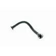 Tuyau, ventilation de carter-moteur VAICO V10-0737 - Visuel 3