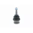 Rotule de suspension VAICO V10-0781 - Visuel 2