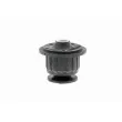 Support moteur VAICO V10-1109 - Visuel 2