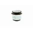 Support moteur VAICO V10-1110 - Visuel 3