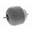 Support moteur VAICO V10-1212 - Visuel 1
