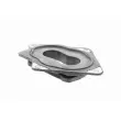 Flasque, carburateur VAICO V10-1239 - Visuel 3