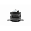 Support moteur arrière droit VAICO V10-1255 - Visuel 2