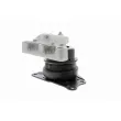 Support moteur avant droit VAICO V10-1644 - Visuel 3