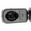 Vérin, capot-moteur VAICO V10-1962 - Visuel 2