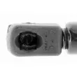 Vérin, capot-moteur VAICO V10-2073 - Visuel 3
