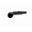 Tuyau, ventilation de carter-moteur VAICO V10-2522 - Visuel 1