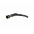 Tuyau, ventilation de carter-moteur VAICO V10-2524 - Visuel 2