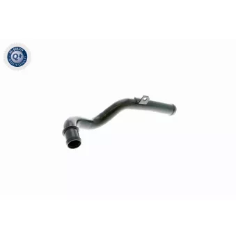 Tuyau, ventilation de carter-moteur VAICO V10-2525