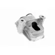 Support moteur VAICO V10-2649 - Visuel 1