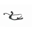 Tuyau, ventilation de carter-moteur VAICO V10-2677 - Visuel 1