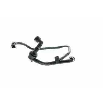 Tuyau, ventilation de carter-moteur VAICO V10-2677
