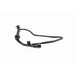 Tuyau, ventilation de carter-moteur VAICO V10-2677 - Visuel 2