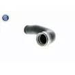 Gaine de suralimentation VAICO V10-2699 - Visuel 3