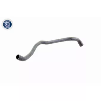 Durite de radiateur VAICO V10-2734