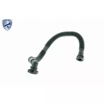 Tuyau, ventilation de carter-moteur VAICO V10-2779