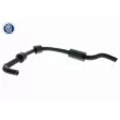 Tuyau, ventilation de carter-moteur VAICO V10-2800 - Visuel 1