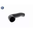 Gaine de suralimentation VAICO V10-2829 - Visuel 1