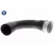 Gaine de suralimentation VAICO V10-2854 - Visuel 1