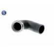 Gaine de suralimentation VAICO V10-2864 - Visuel 3