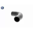 Gaine de suralimentation VAICO V10-2914 - Visuel 3