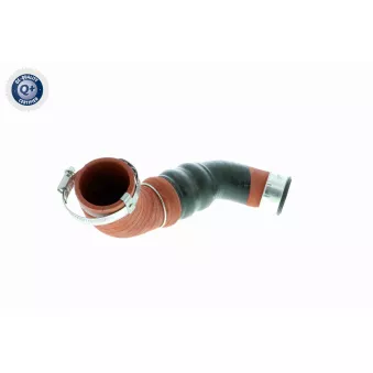 Gaine de suralimentation VAICO V10-2919