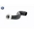 Gaine de suralimentation VAICO V10-2922 - Visuel 1