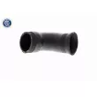 Gaine de suralimentation VAICO V10-2923 - Visuel 2