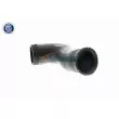 Gaine de suralimentation VAICO V10-2924 - Visuel 3