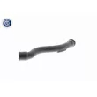 Tuyau, ventilation de carter-moteur VAICO V10-2938 - Visuel 1