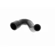 Tuyau, ventilation de carter-moteur VAICO V10-2944 - Visuel 3