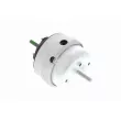 Support moteur avant gauche VAICO V10-3064 - Visuel 3