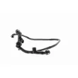 Tuyau, ventilation de carter-moteur VAICO V10-3094 - Visuel 1