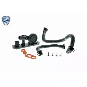 Kit de réparation, ventilation du carter-moteur VAICO V10-3246