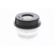 Butée élastique, suspension VAICO V10-3361 - Visuel 2