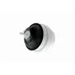 Support moteur VAICO V10-3443 - Visuel 1