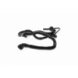 Tuyau, ventilation de carter-moteur VAICO V10-3505 - Visuel 2