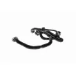 Tuyau, ventilation de carter-moteur VAICO V10-3505 - Visuel 3