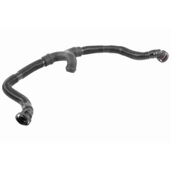 Tuyau, ventilation de carter-moteur VAICO V10-3696