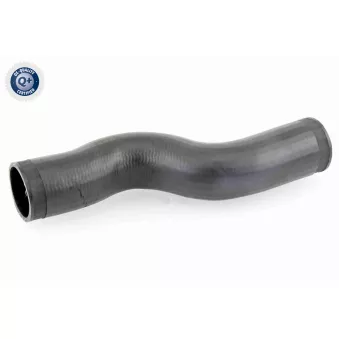 Gaine de suralimentation VAICO V10-3776