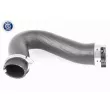 Gaine de suralimentation VAICO V10-3782 - Visuel 1