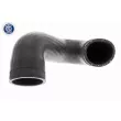 Gaine de suralimentation VAICO V10-3813 - Visuel 1