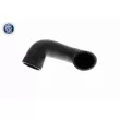 Gaine de suralimentation VAICO V10-3813 - Visuel 2