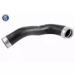 Gaine de suralimentation VAICO V10-3818 - Visuel 1