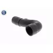 Gaine de suralimentation VAICO V10-3829 - Visuel 3