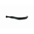 Tuyau, ventilation de carter-moteur VAICO V10-3880 - Visuel 2
